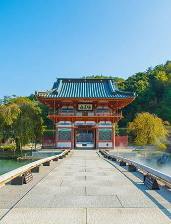 出張撮影のサムネイル