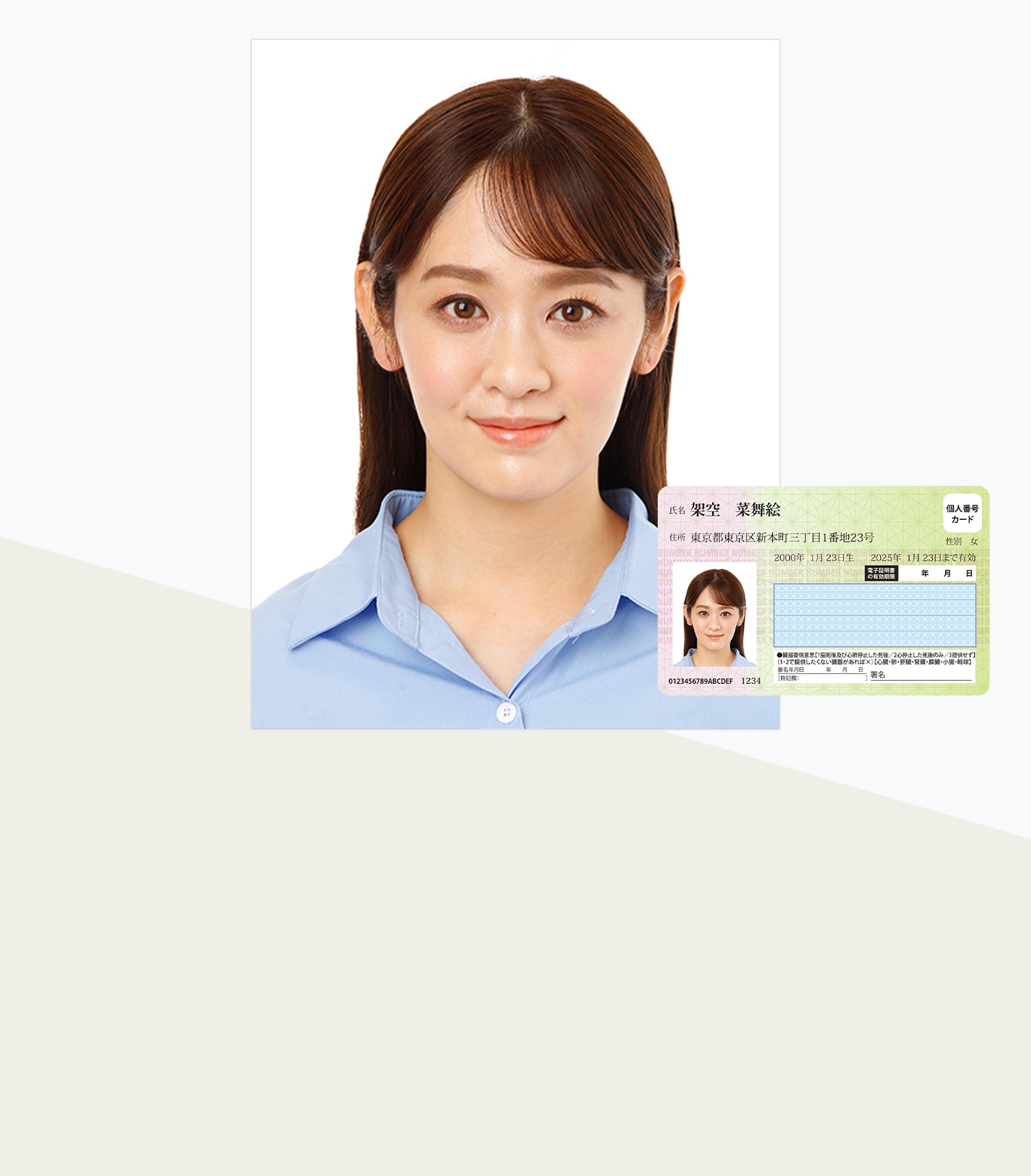 マイナンバー証明写真