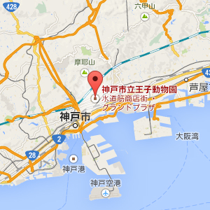 王子動物園 - google map