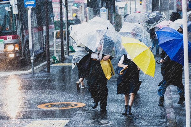 -shared-img-thumb-150909085567_TP_V