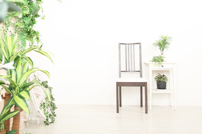 家族写真スタジオ