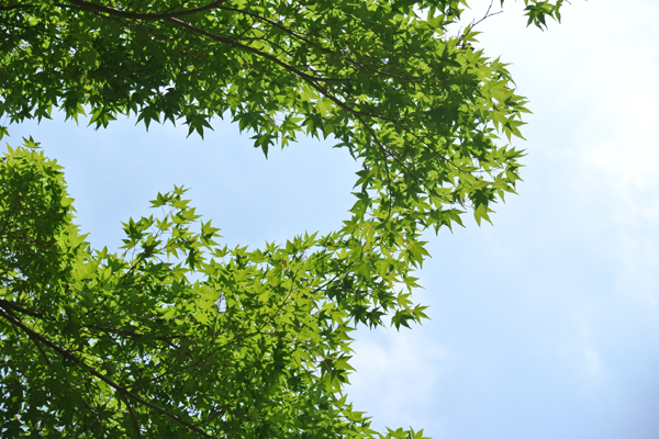 資格ブログアイ