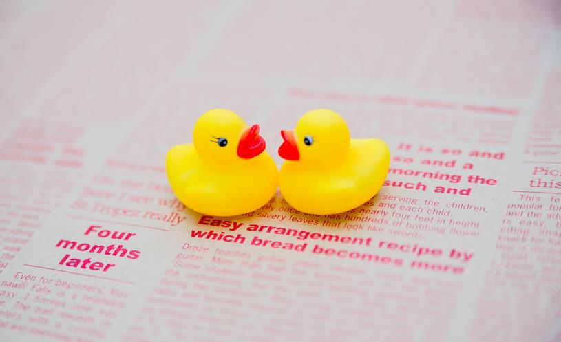 NKJ56_dateahiru_TP_V1