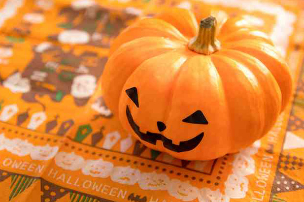 %e3%83%8f%e3%83%ad%e3%82%a6%e3%82%a3%e3%83%b3%ef%bc%91%e8%a1%a8%e7%b4%99