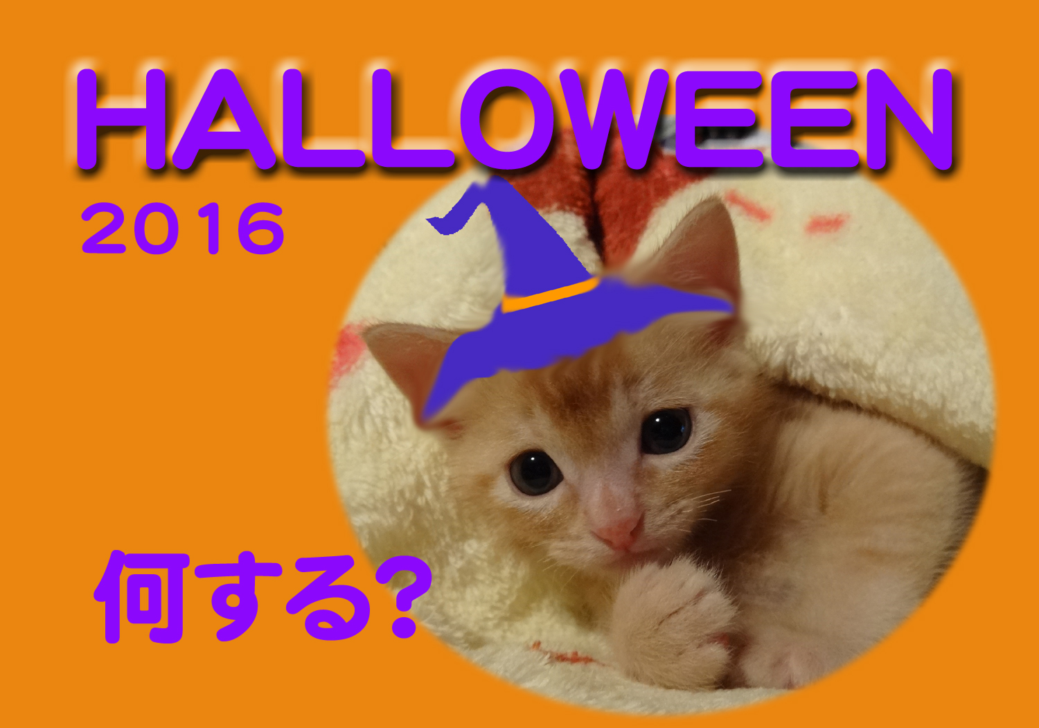 %e3%81%ad%e3%81%93%e3%83%8f%e3%83%ad%e3%82%a6%e3%82%a4%e3%83%b3