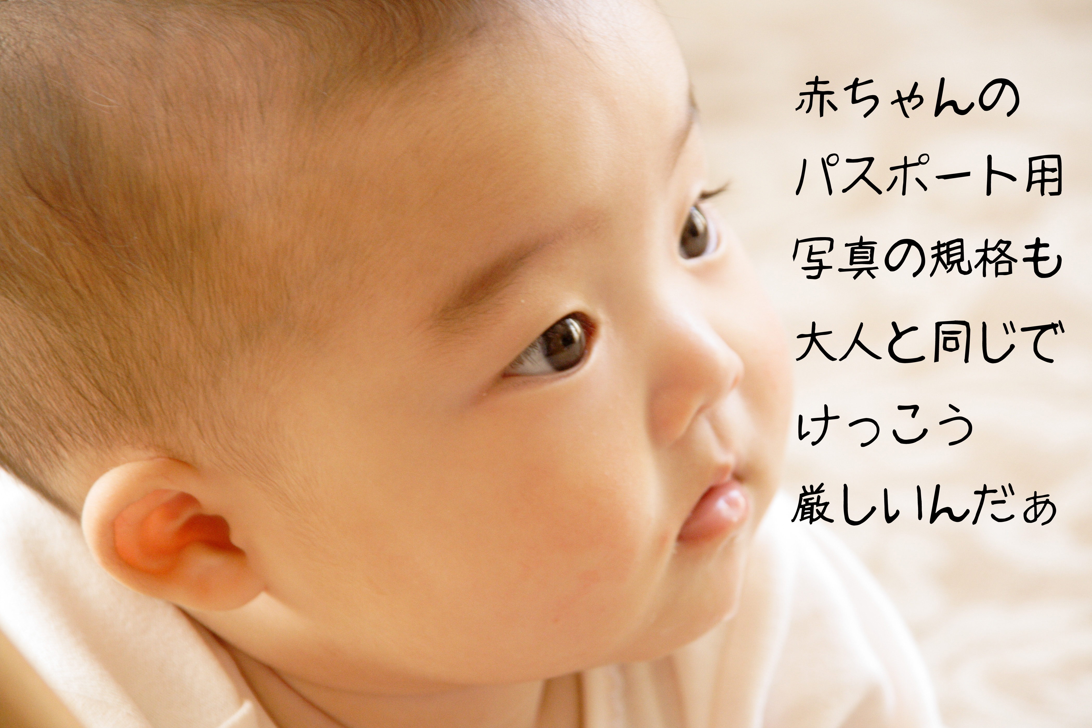 %e8%b5%a4%e3%81%a1%e3%82%83%e3%82%93%e3%83%91%e3%82%b9%e3%83%9d%e3%83%bc%e3%83%88