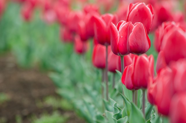 マイナンバー表紙