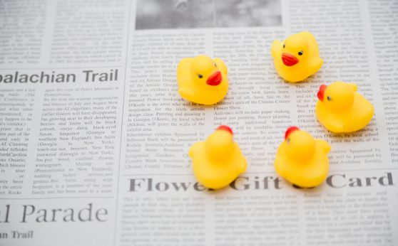 --www.pakutaso.com-shared-img-thumb-NKJ56_kaigisuruahiruchan