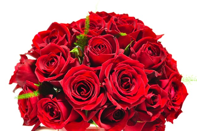 ブログ母の日表 (1)