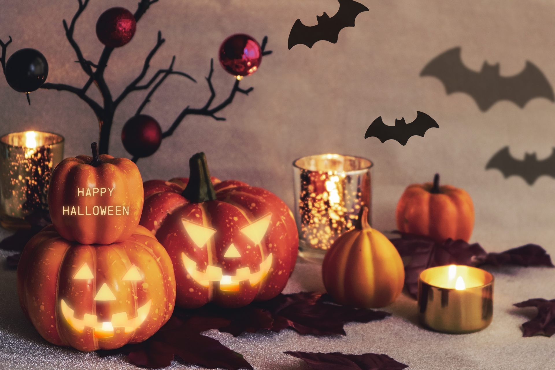 22b74f47fb6b2fe8d561624092da8273_m