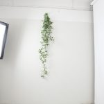 スタジオ728秋葉原撮影スタジオブース