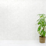 スタジオ728池袋壁紙