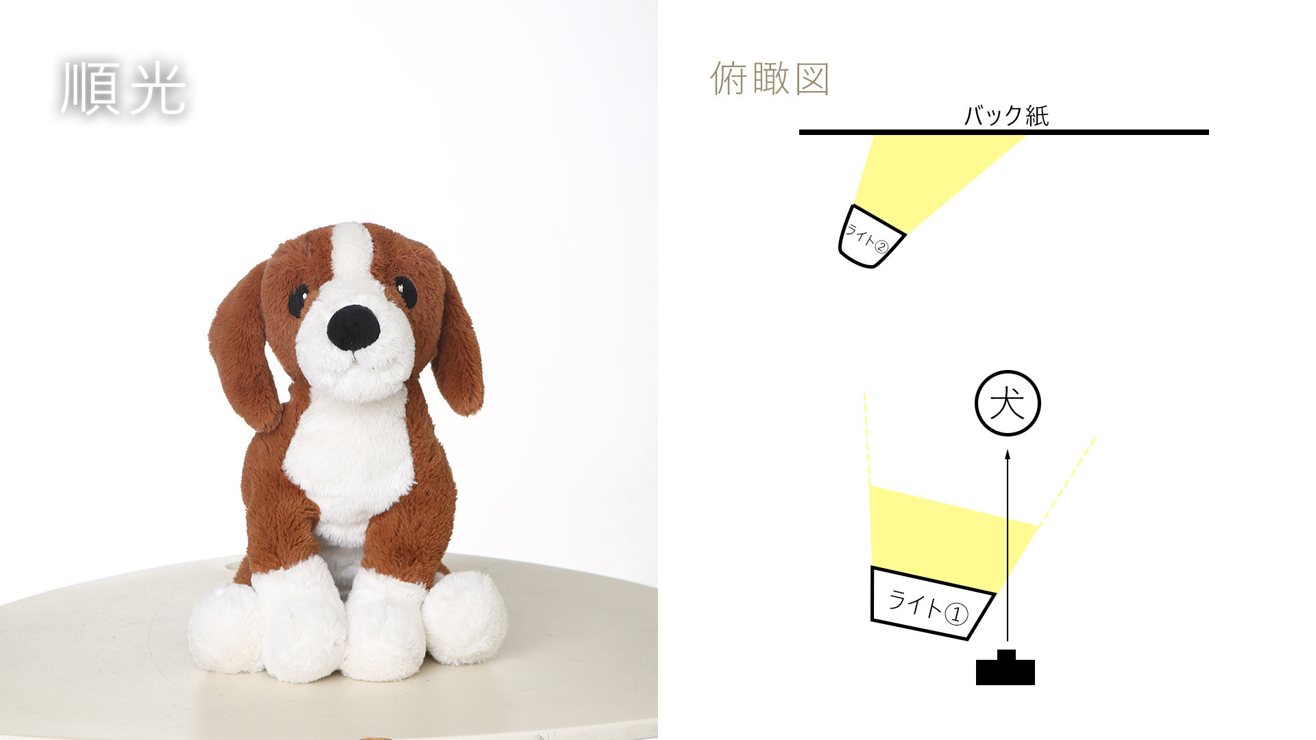 スタジオライティング図解-1/順光の再現