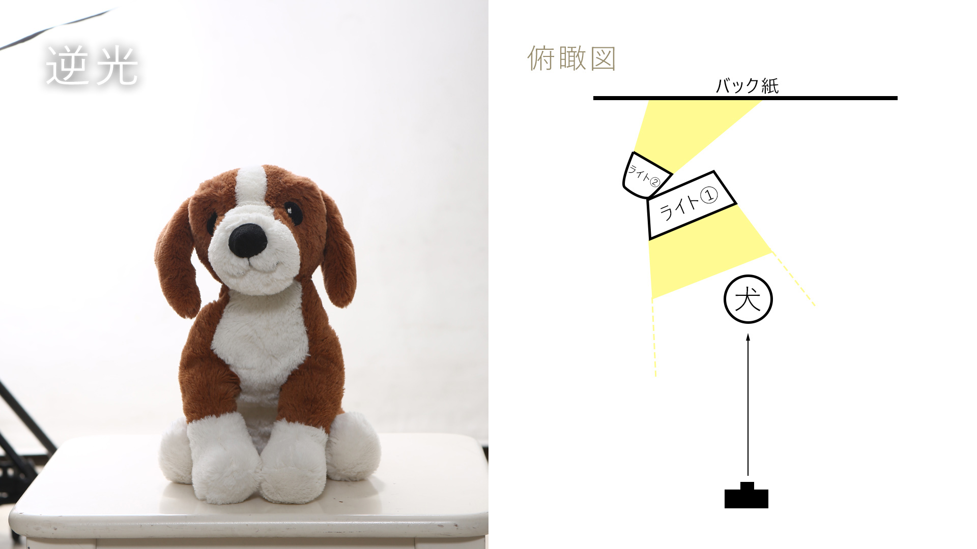 スタジオライティング図解-3/逆光の再現