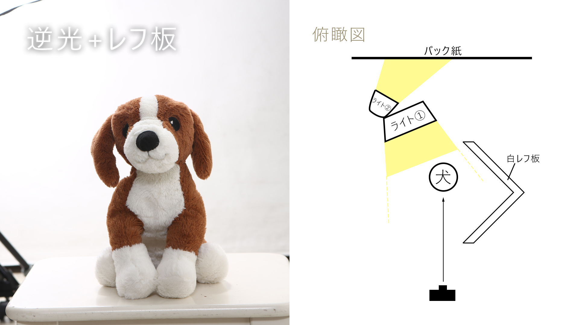 スタジオライティング図解-4/逆光+反射板