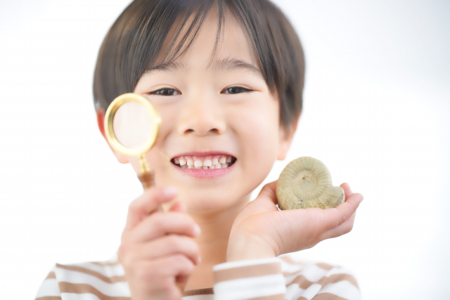 自由研究か絵日記