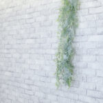 スタジオ728渋谷スタジオ壁紙