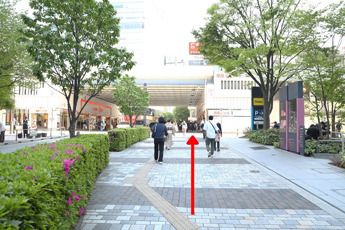 高速道路の下をくぐります