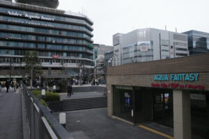 ⑤京都駅中央口前バス停横3